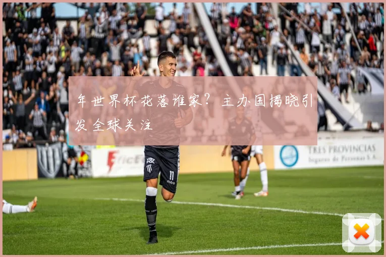 年世界杯花落谁家？主办国揭晓引发全球关注