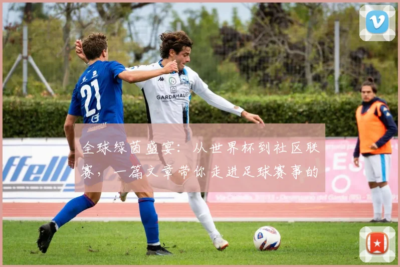 全球绿茵盛宴：从世界杯到社区联赛，一篇文章带你走进足球赛事的浩瀚世界