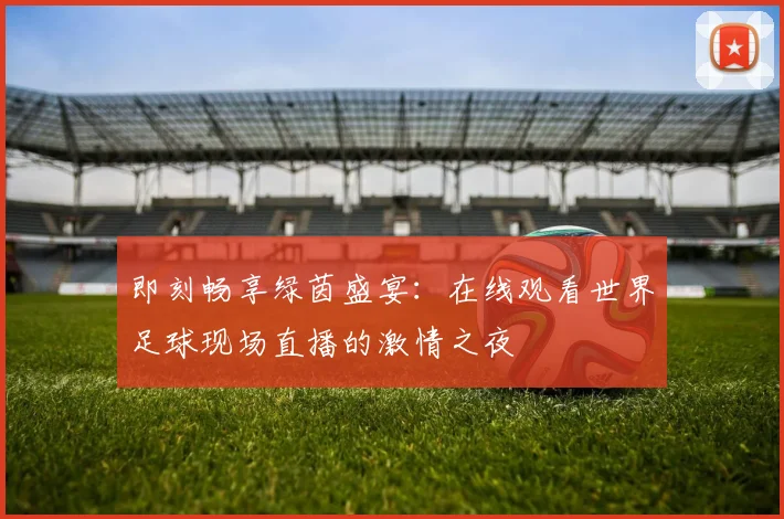 即刻畅享绿茵盛宴：在线观看世界足球现场直播的激情之夜