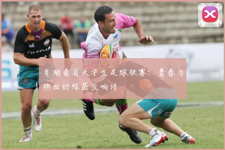 年湖南省大学生足球联赛：青春与热血的绿茵交响诗
