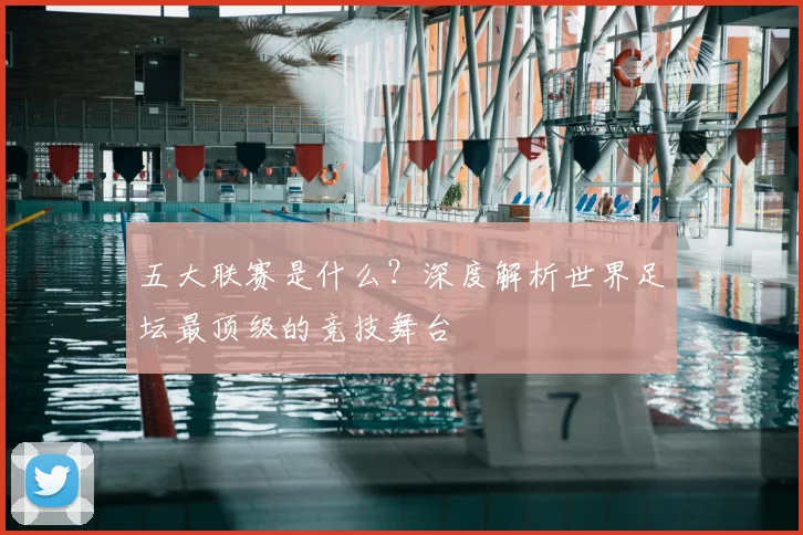 五大联赛是什么?深度解析世界足坛最顶级的竞技舞台