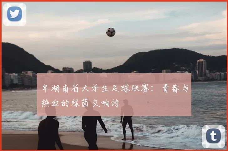 年湖南省大学生足球联赛:青春与热血的绿茵交响诗